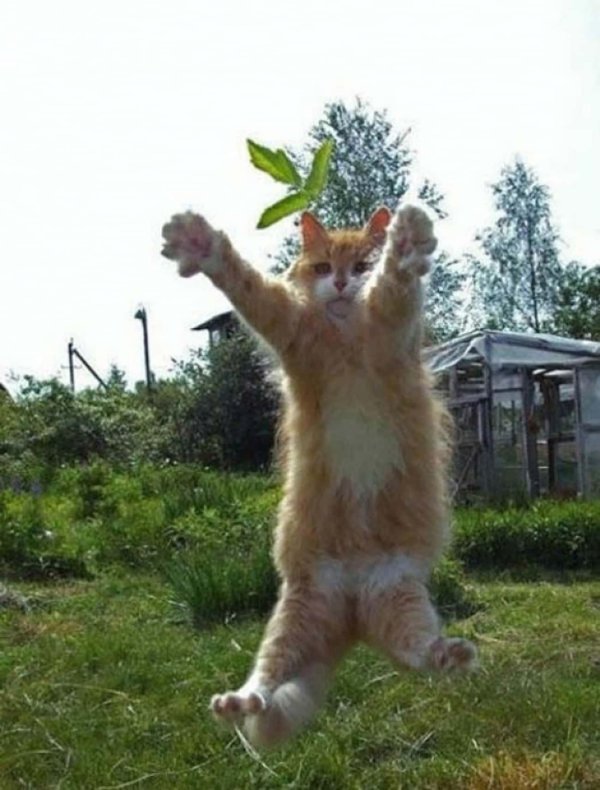 для поднятия настроения