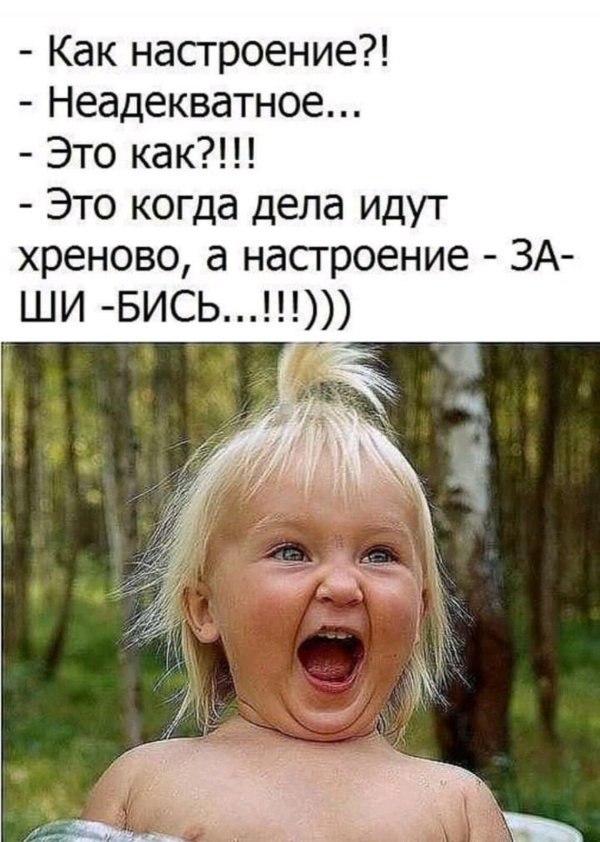 смешное высказывание