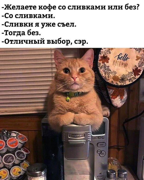 кофе смешные