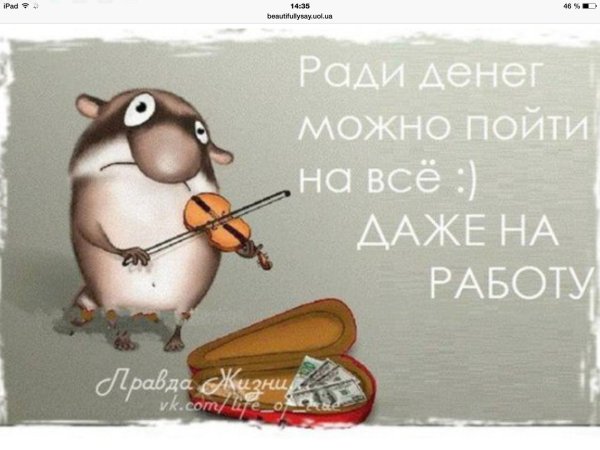 хомячок со скрипкой