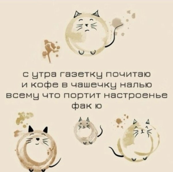 котики на бежевом фоне