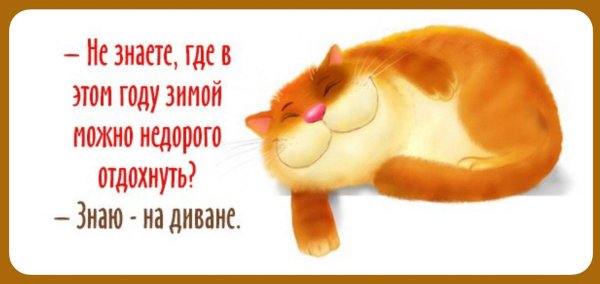 не знаете где в этом году можно недорого отдохнуть знаю на диване