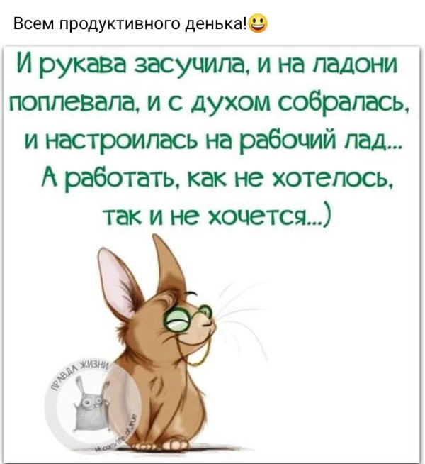 веселые высказывания