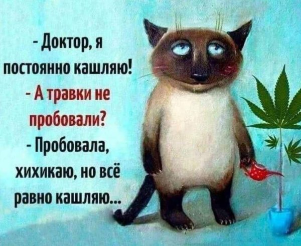 доктор я кашляю