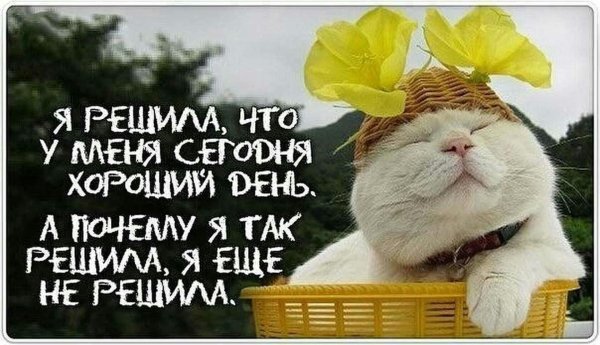 утренний позитив