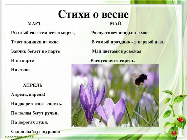 стихи про подснежник