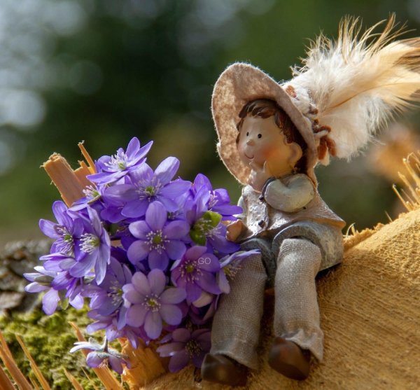 маленькие радости жизни