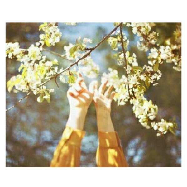 весенняя эстетика