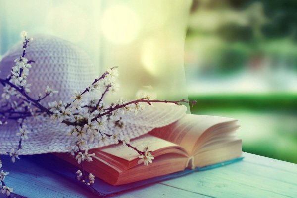 открытая книга