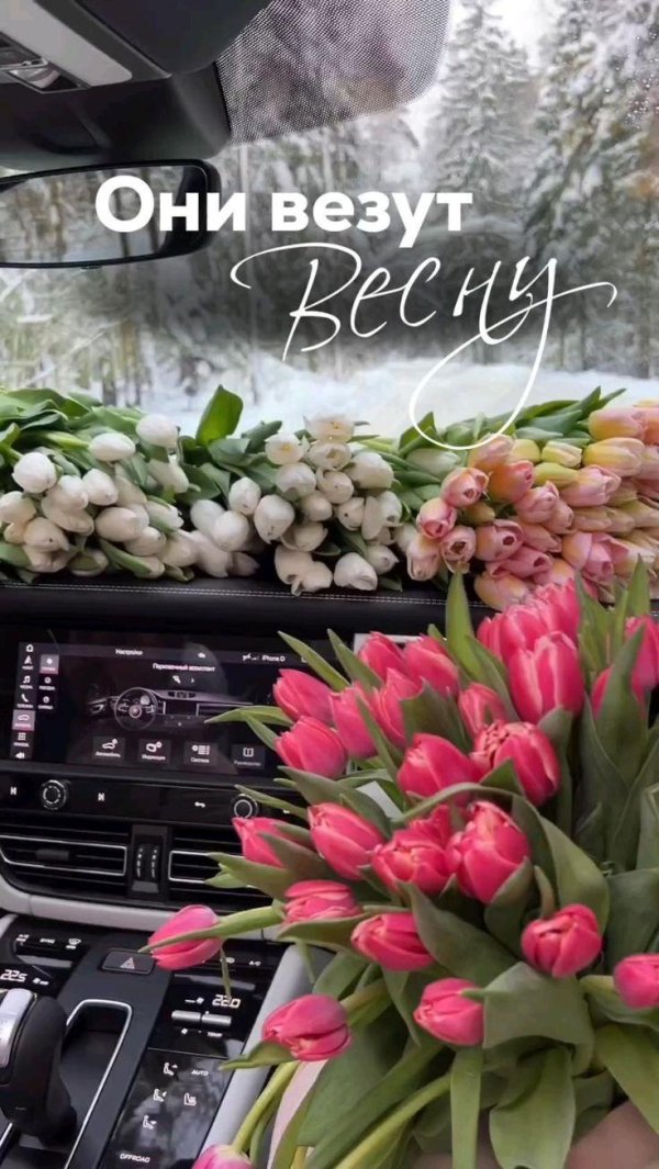 букет тюльпан