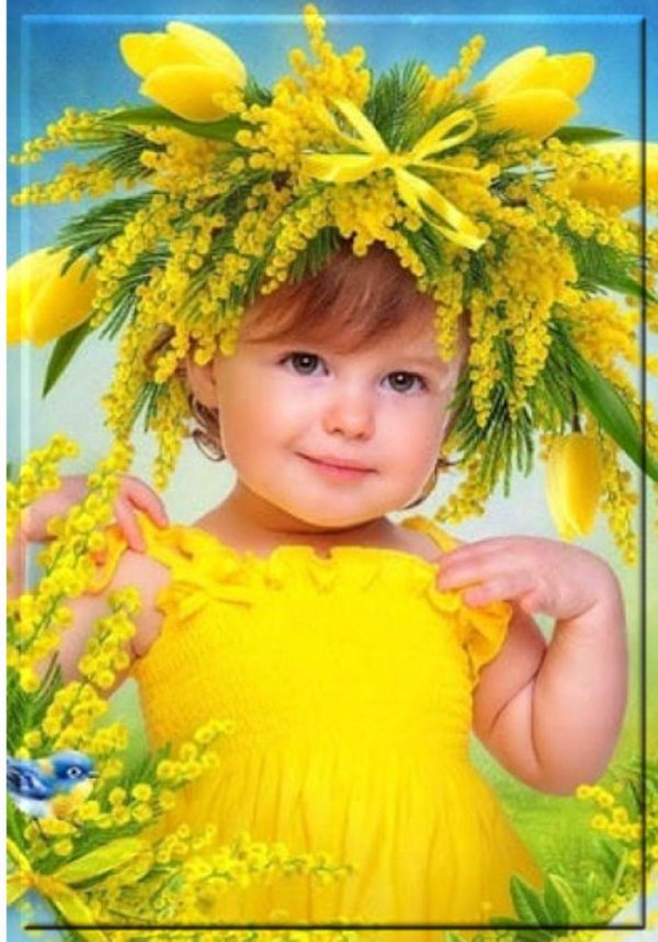 венок из мимозы