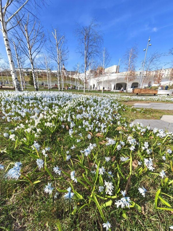 москва весной