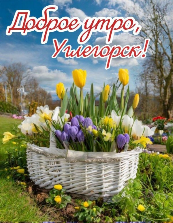 доброго утра весеннего