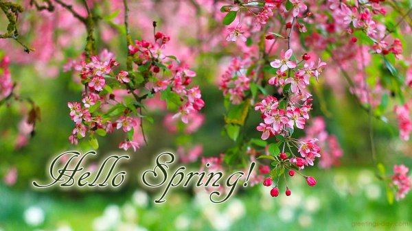 фон весенний