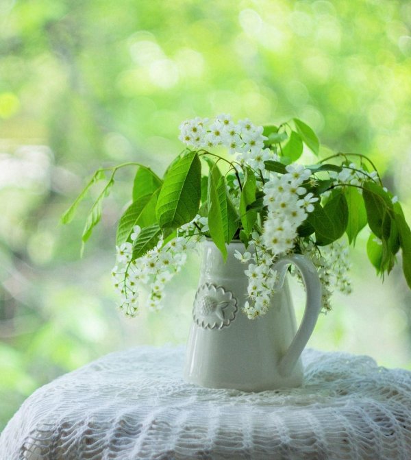 доброе утро черемуха