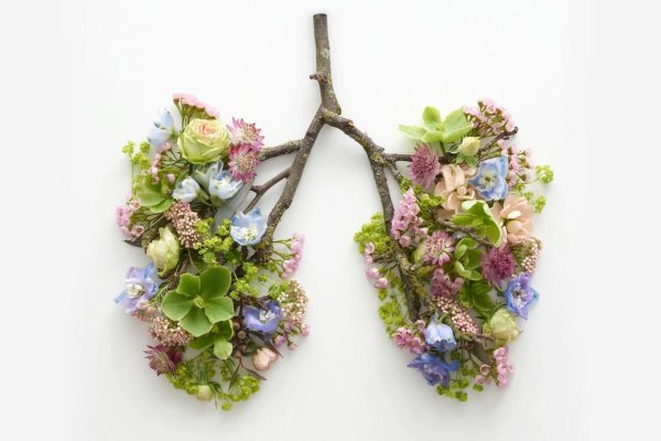 flower lung
