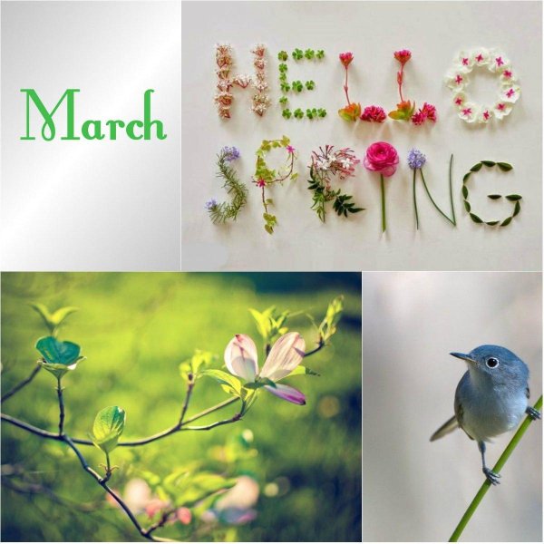 с первым днем весны стильные