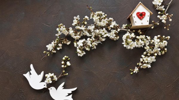 Весна креативные