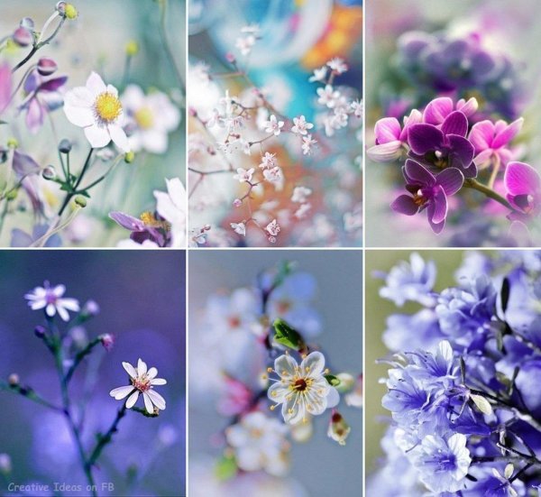 красивые коллажи