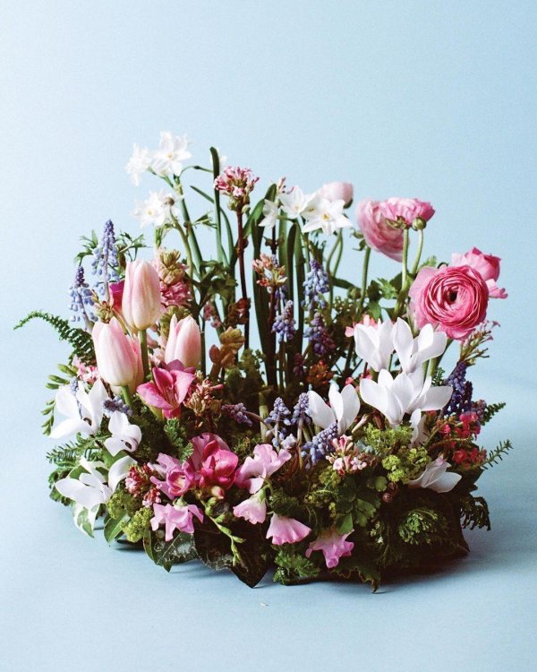 композиции цветов