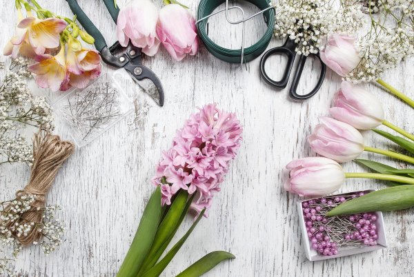 флористика баннер