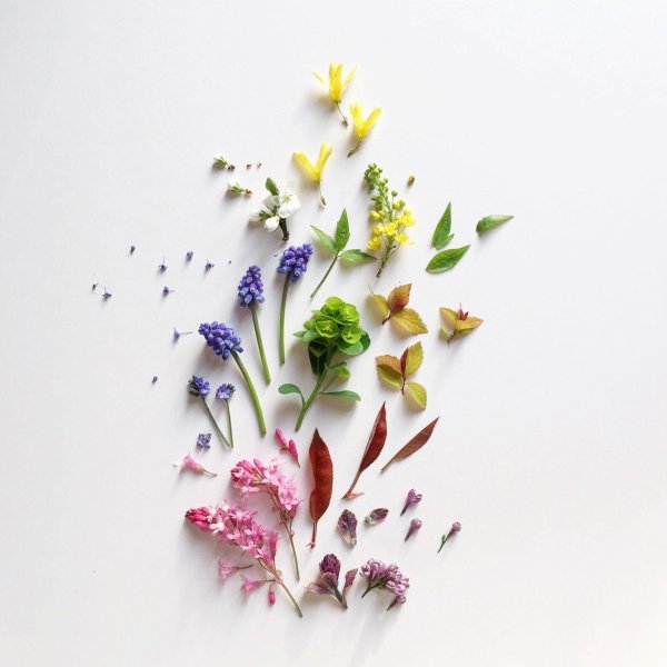 мокапы флористика