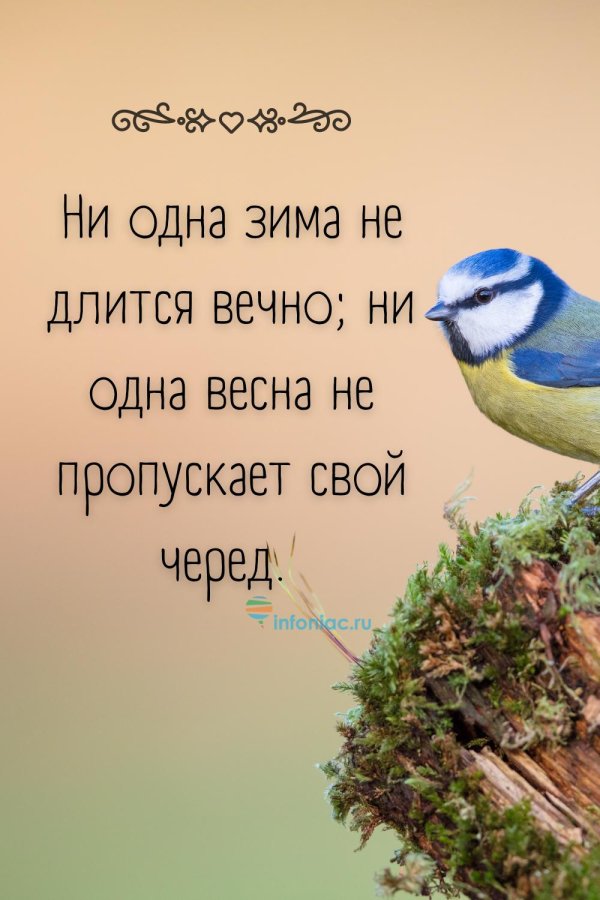 лазоревка синица