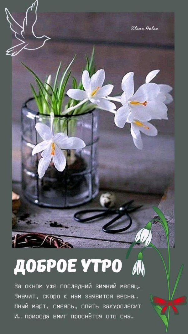добрейшего весеннего утра