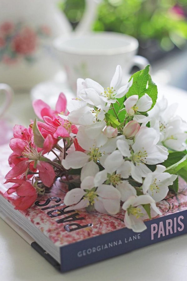 весеннее вдохновение