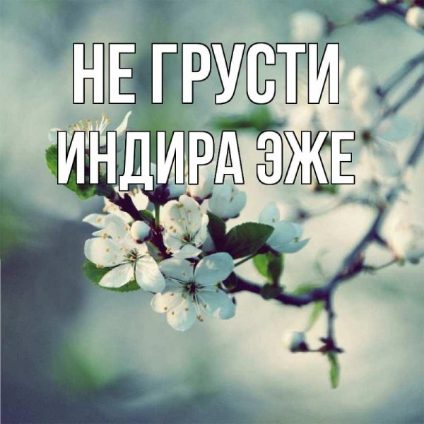 я по тебе скучала