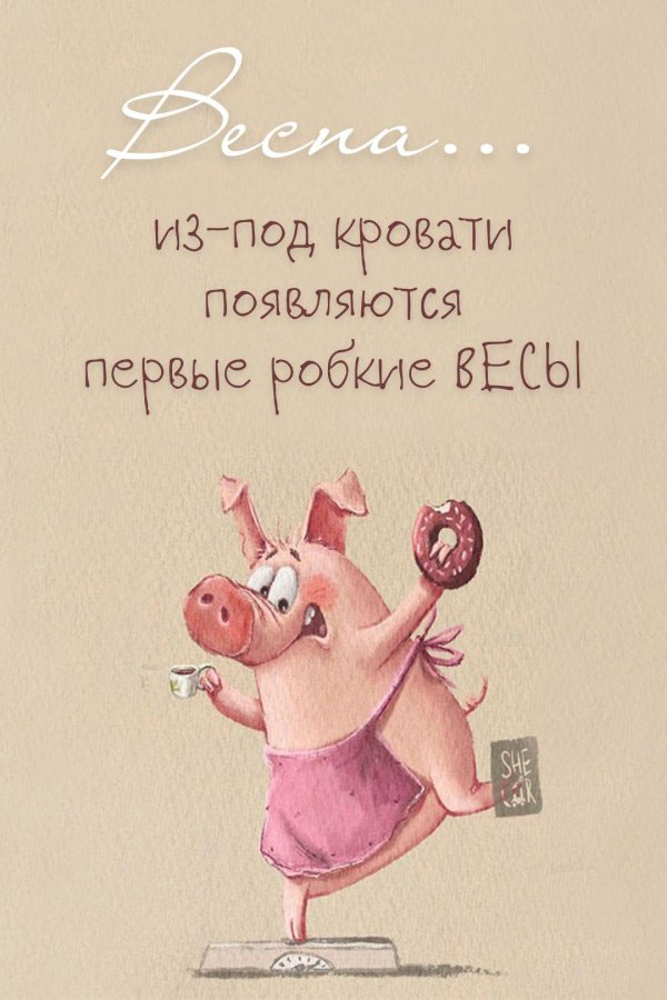 свиньи смешные