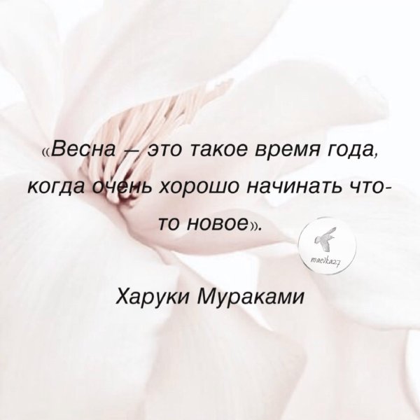 цитата про весну