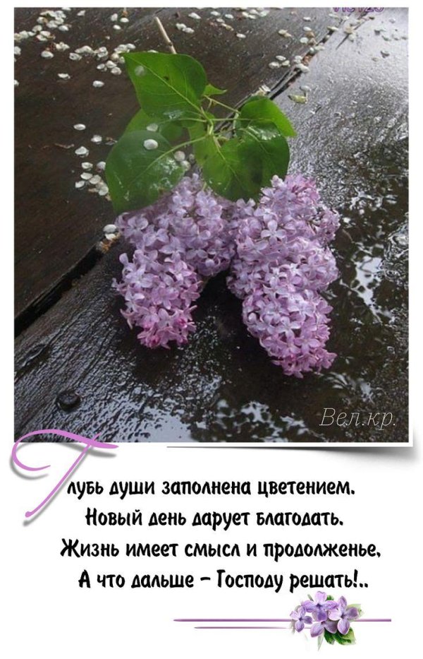 христианские пожелания на день