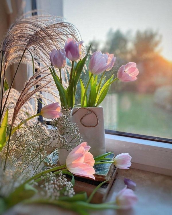 чудесного апрельского утра