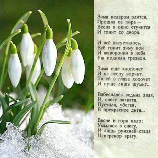 апрель подснежник чайковский