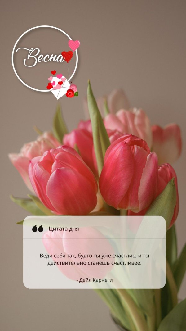 тюльпан пинк