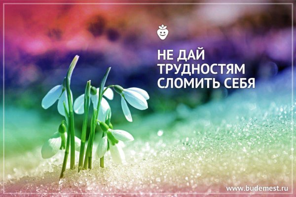 не дай сломить себя