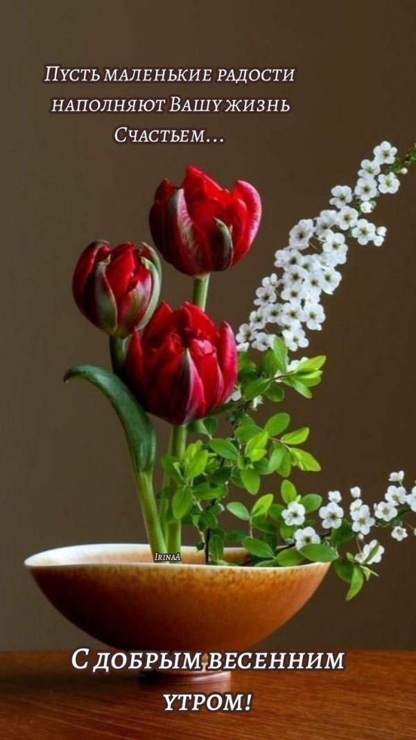 доброе апрельские утро счастья
