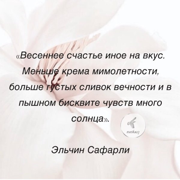 цитата о счастье