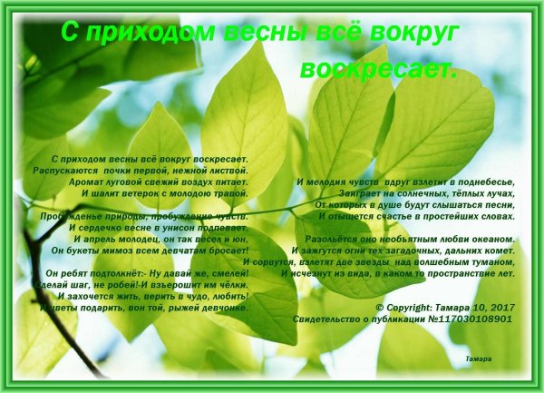 приход весны