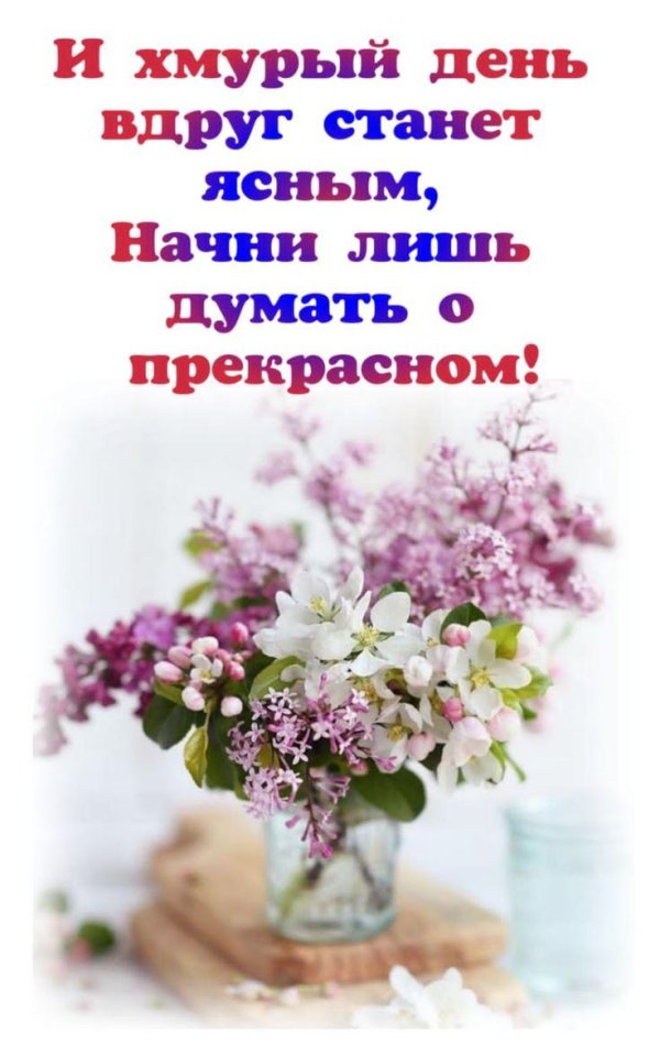 красивое поздравление