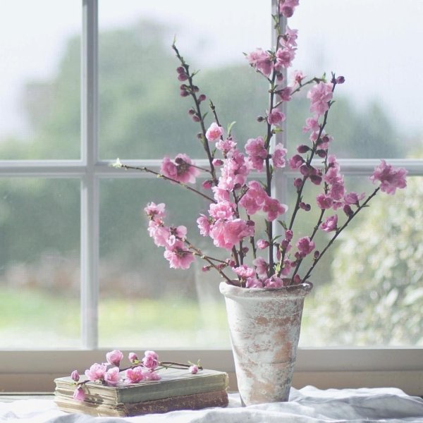 весеннего утра