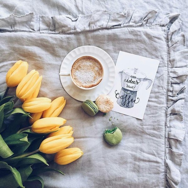 доброго утра стильные