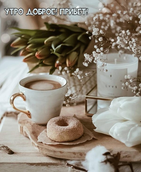 красивого утра