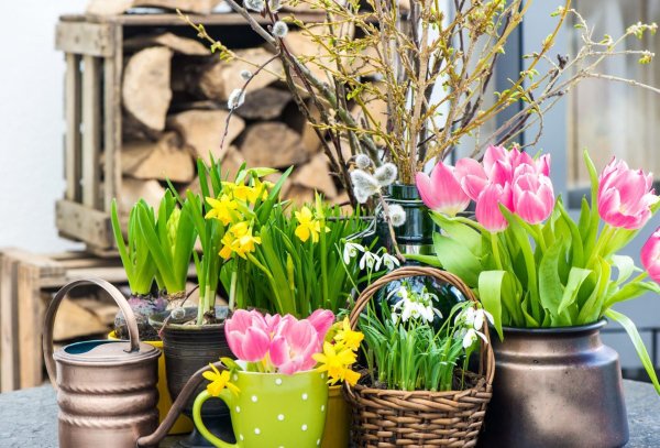 весенние композиции