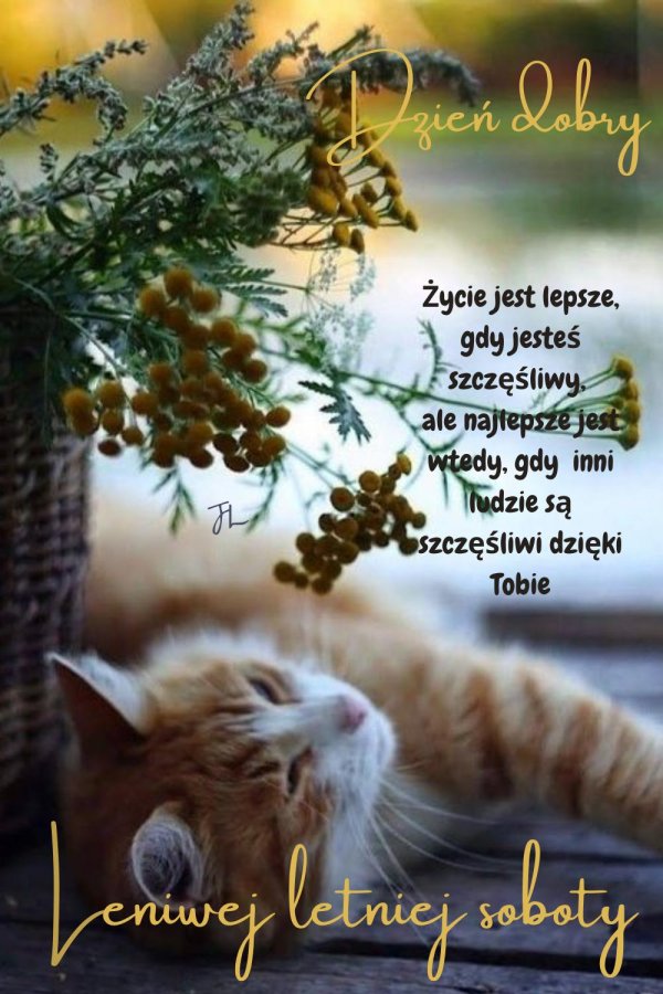 dzien dobry