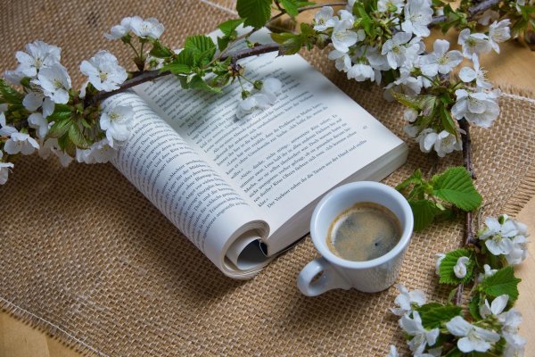 книга и цветы