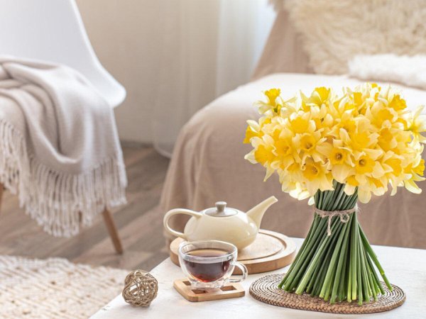 желтые нарциссы