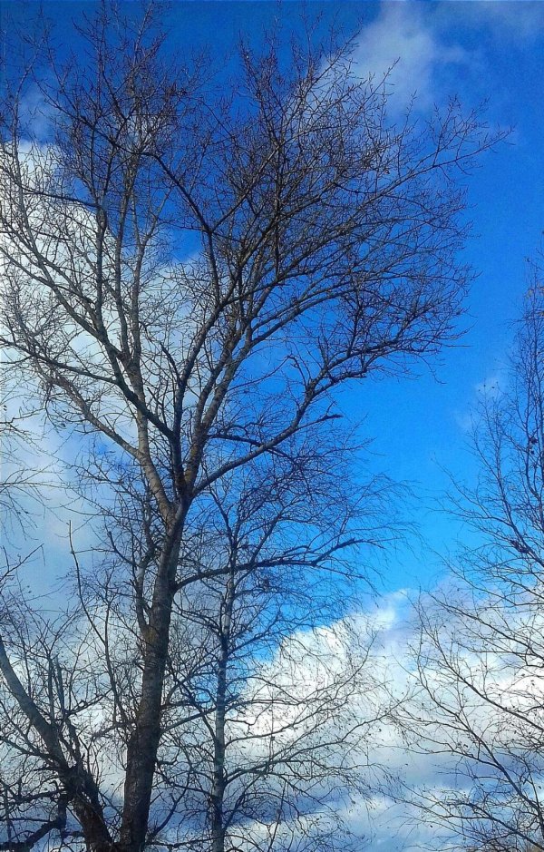 ранняя весна