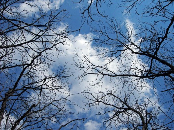 пейзаж неба